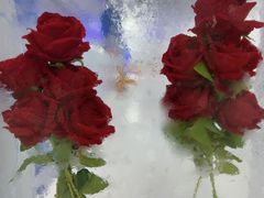 -世界之窗阿尔卑斯冰雪世界