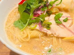 鸡白汤拉面-篝拉面(银座店)