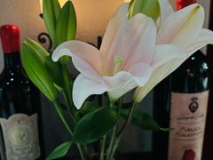 -Osteria Garden 生蚝花园餐厅(原进贤路店)
