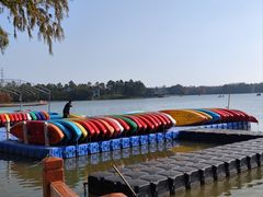 -上海海湾国家森林公园