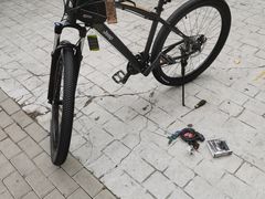 -道路口单车爱瓦士dahon大行