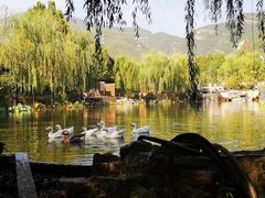 -静之湖湖畔餐厅