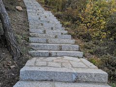 -金龙寺国家森林公园