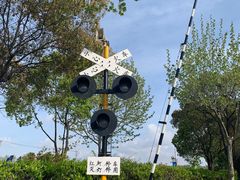 -顾村公园