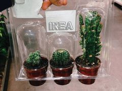 -宜家家居(西安未央商场店)