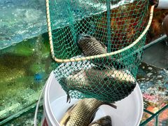 -牟记江湖重庆地标特色菜鱼蛋海鲜无刺鲫鱼(巴南区黑金冠十多年好店)
