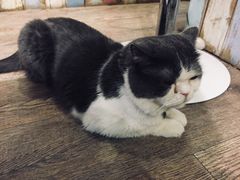 -小时光咖啡馆(开森度假森林店)