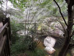 -陕西省红河谷森林公园