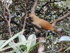 -三清山希尔顿度假酒店