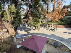 -J Create城市露营咖啡·简餐·宠物(上海动物园店)