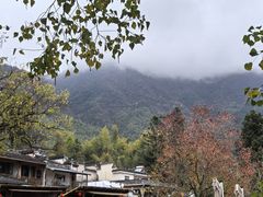 -塔川景区