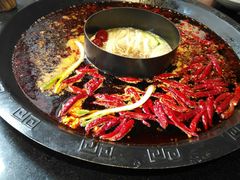 -渝大狮毛肚老火锅(普陀店)