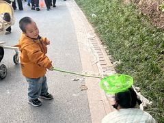 -重庆彩云湖湿地公园