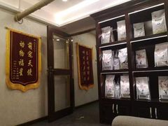 -宠爱国际动物医院·消化内科·心肾内科·ISFM猫友好(望京店)