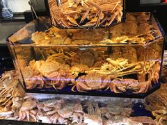 -蟹道乐(道顿堀本店)