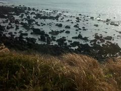-涉地可支