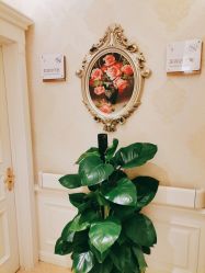 -圣嘉新医疗美容医院