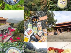 -深圳市中科院仙湖植物园