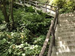 -王顺山国家森林公园