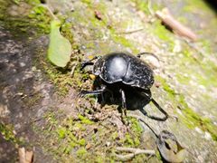 -东南悬空寺方广岩