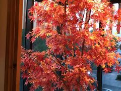 -和枫(众意路店)