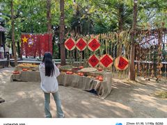 -洛阳市隋唐城遗址植物园