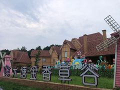 -大塘金香草谷