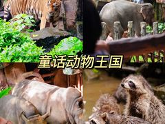 -长鹿旅游休博园