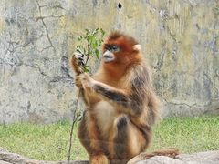 -大连森林动物园