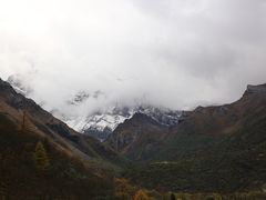 -黄龙山原始森林景区