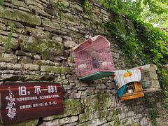-安顺旧州古镇