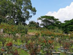 -松山湖梦幻百花洲