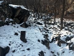 -北京鹫峰国家森林公园