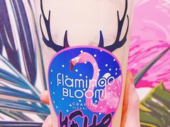 凤梨茉莉绿茶-Flamingo Bloom(TST /尖沙咀店)