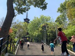 -上海佘山国家森林公园西佘山园