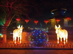 -大槐树寻根祭祖园