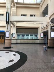 -上海交通大学医学院附属上海儿童医学中心(陆家嘴总院区)