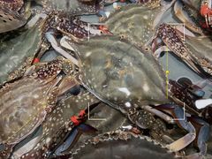 -一方渔歌蒸汽海鲜自助(文化路万达广场店)