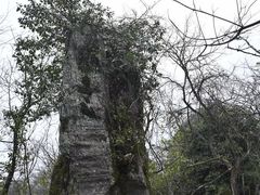 -山王坪喀斯特国家生态公园