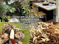 -西双版纳原始森林公园