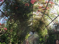 -The Grounds of Alexandria