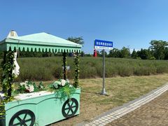 -同里国家湿地公园