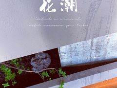 -花潮料理艺食馆(成都万象城店)