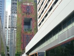 摊位就在这路上-空军山芭榴莲