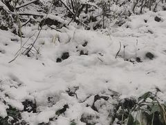 -九峰山