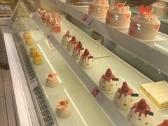 -蒲公英(五里店)