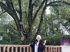 -横店影视城梦幻谷园区