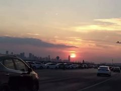 -合肥滨湖国家森林公园