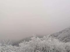 -秦岭风景区