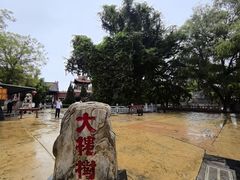 -大槐树寻根祭祖园